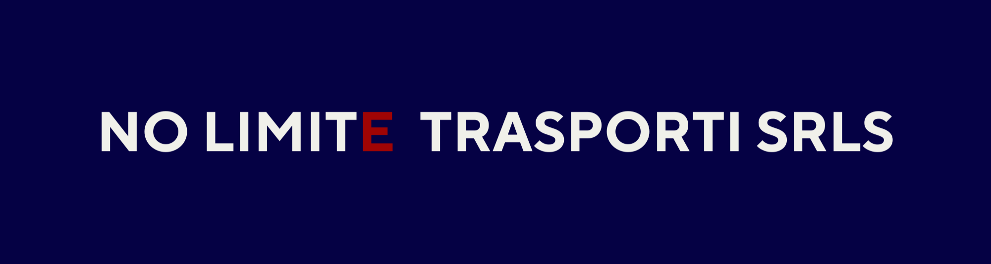 copia di bianco e nero moderno logistica aziendale logo